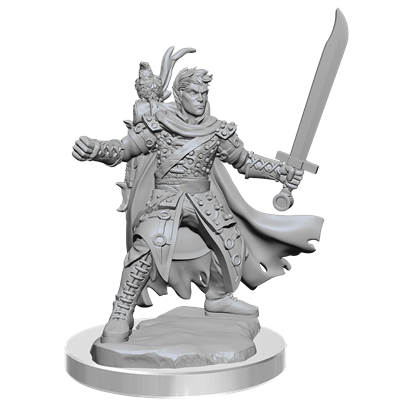 D&D Frameworks: Male Half-Elf Ranger