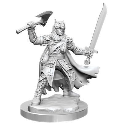 D&D Frameworks: Male Half-Elf Ranger