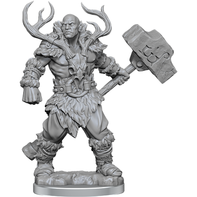 D&D Frameworks: Goliath Barbarian Male