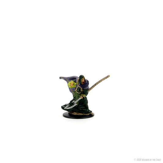 D&D Icons of the Realms - Premium Miniatures - Druido Elfo Maschio