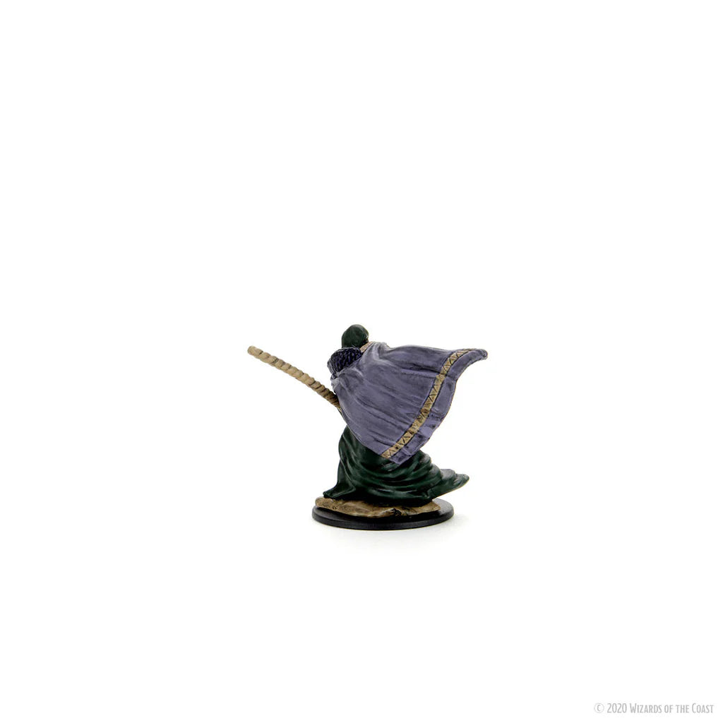 D&D Icons of the Realms - Premium Miniatures - Druido Elfo Maschio