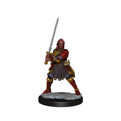D&D Frameworks: Female Human Fighter
