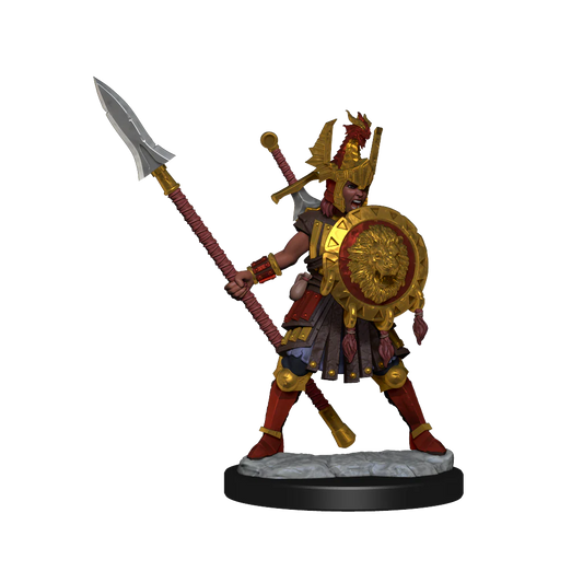 D&D Frameworks: Female Human Fighter
