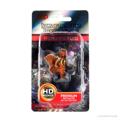 D&D Icons of the Realms - Premium Miniatures - Druido Umano Maschio