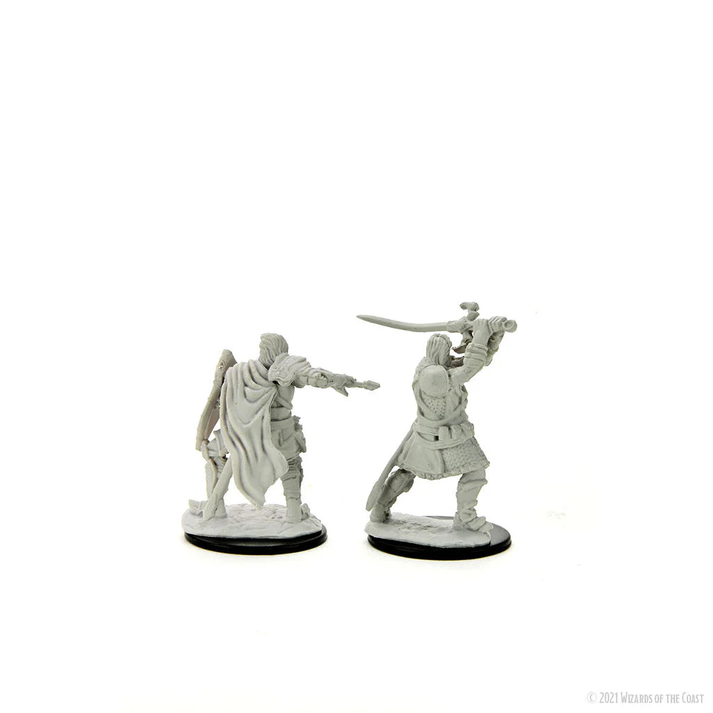 D&D Nolzur's Marvelous Miniatures: Umano Paladino Maschio
