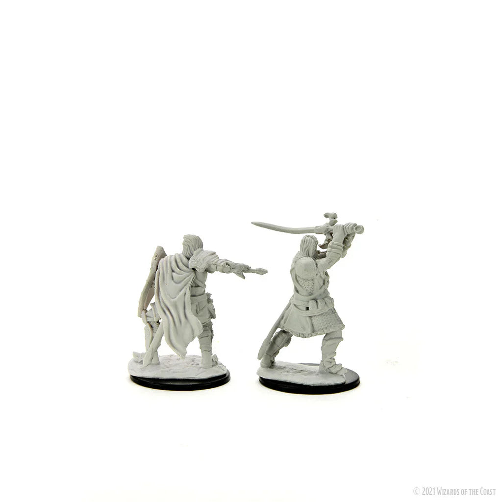D&D Nolzur's Marvelous Miniatures: Umano Paladino Maschio
